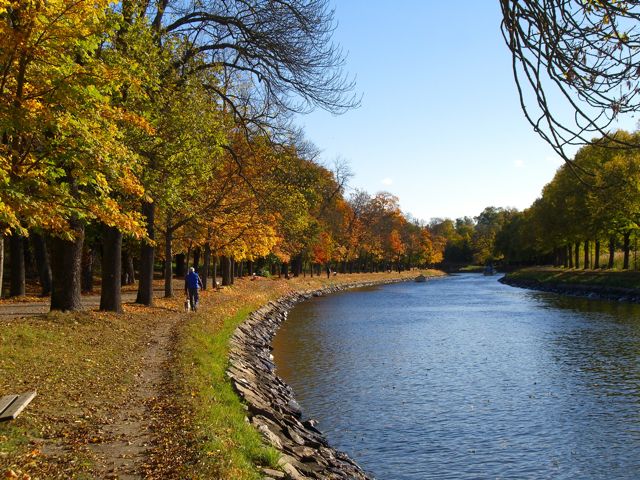 A Park to Walk in Stockholm