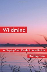 Wildmind by Bodhipaksa is a good book for anger management and step by step guide to meditation