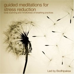 Guided Meditations for Stress Reduction is a CD by Bodhipaksa to help reduce stress response