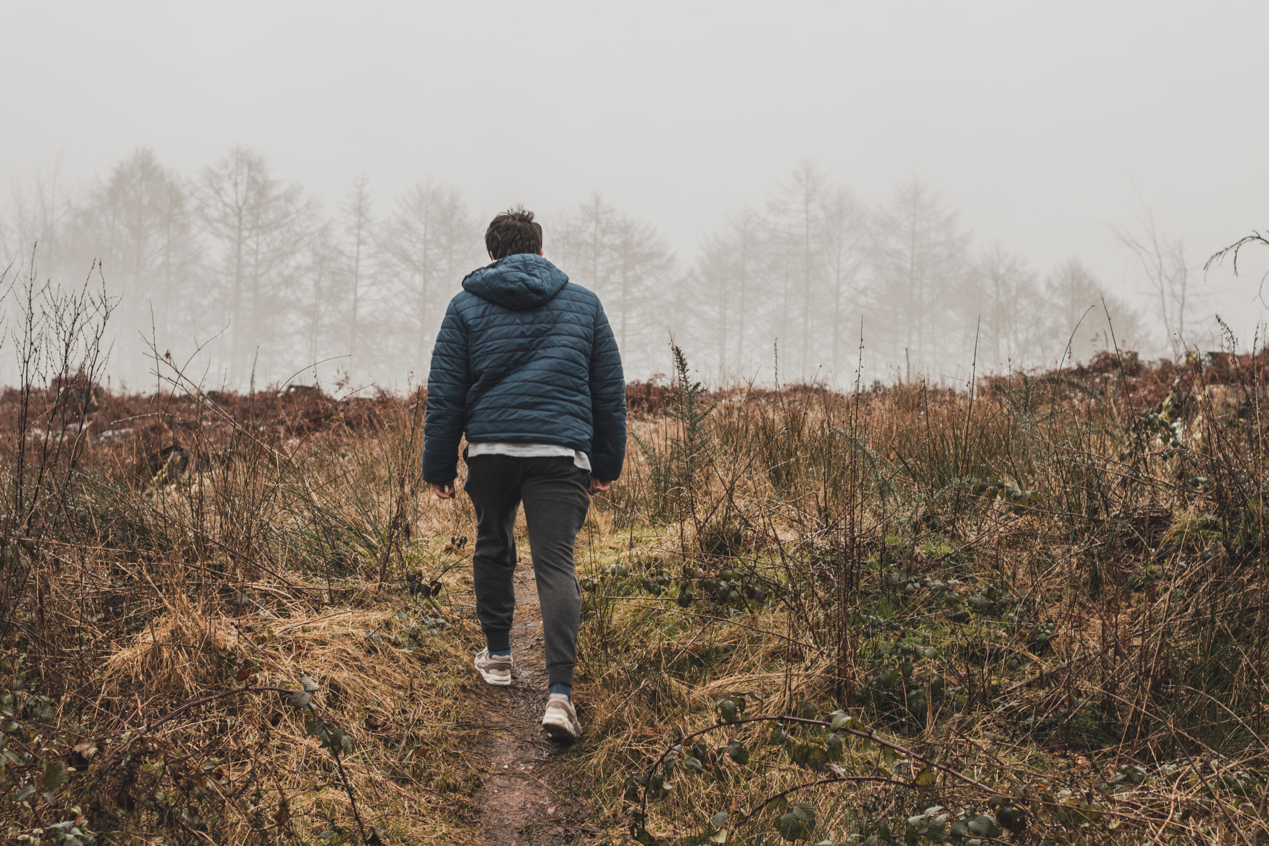 Taking a walk in nature can help relieve worries